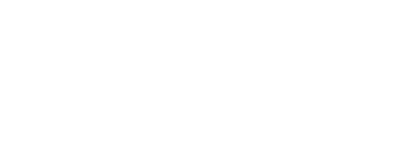 FIRST INNOVATION BEYOND BORDERS